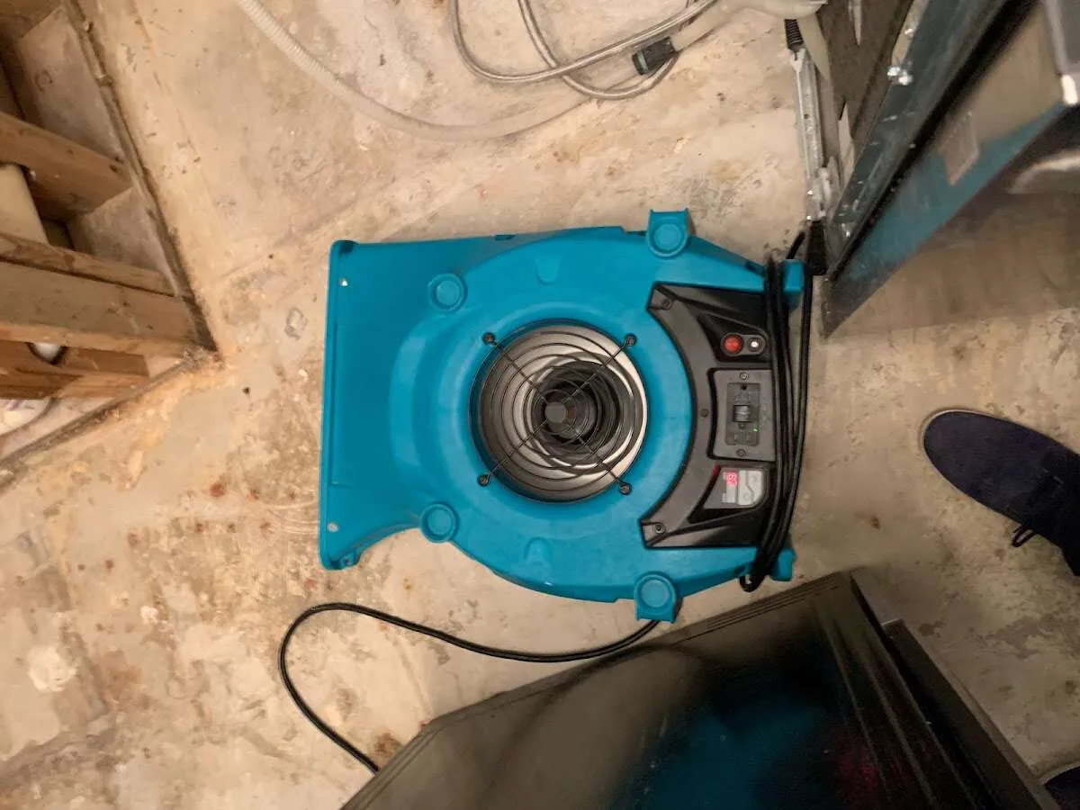 Air mover drying equipment for Mold Remediation & Removal in Newington